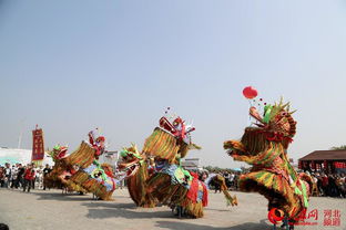 迎佳節(jié)慶豐收 滄州黃驊冬棗節(jié)熱鬧登場